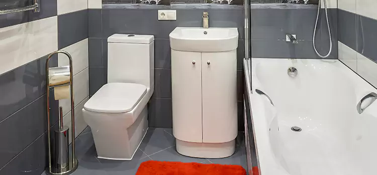 Hansgrohe Shaving Mirror Newburyport